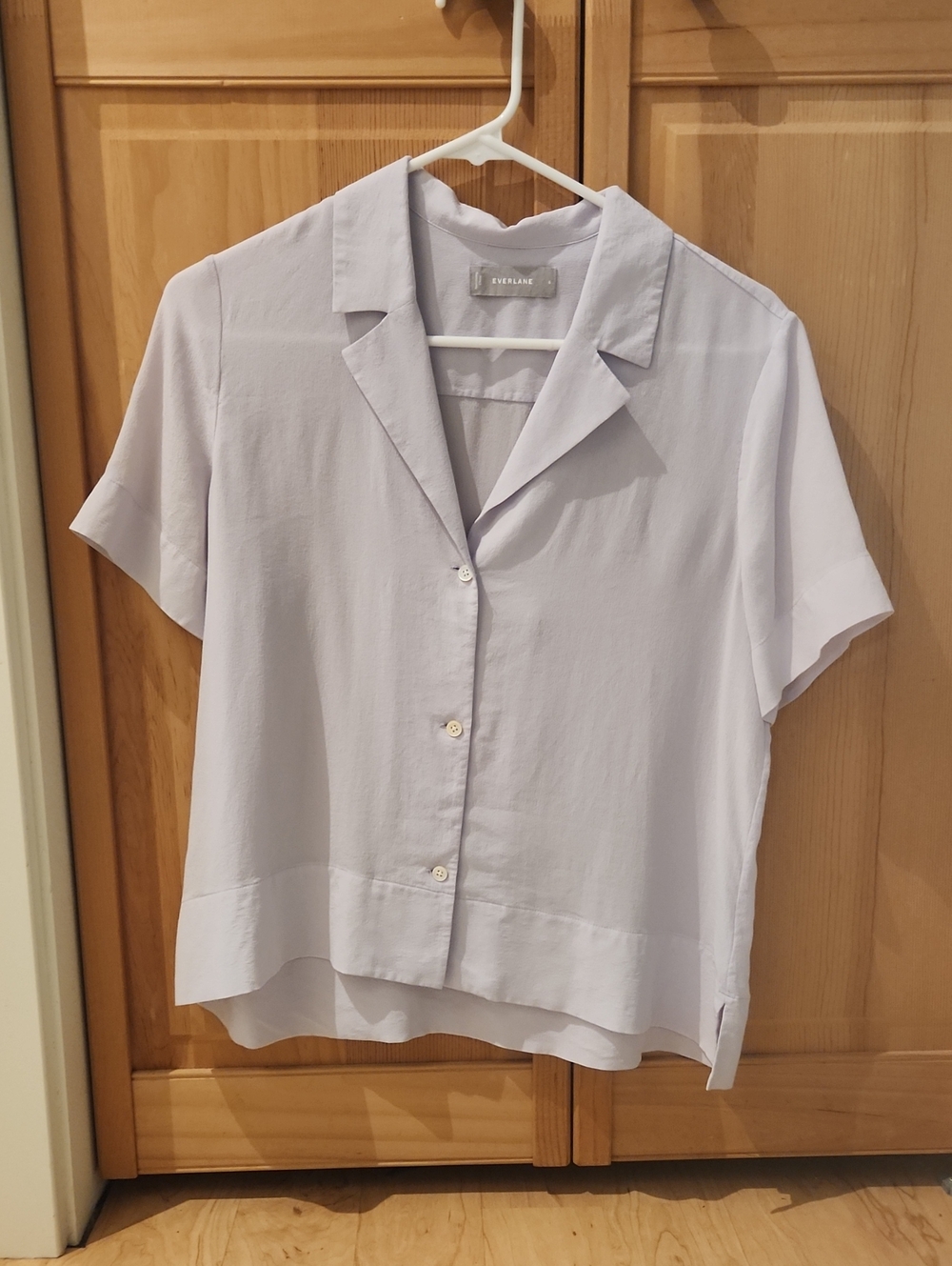 Everlane Notch Shirt in Washable Silk Size 6 Purple